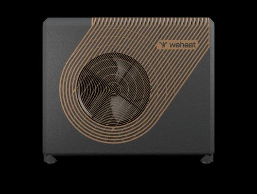 weheat Sparrow