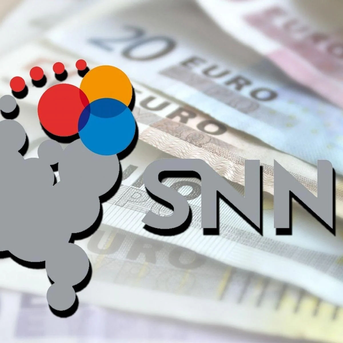 Afbeelding van SNN logo